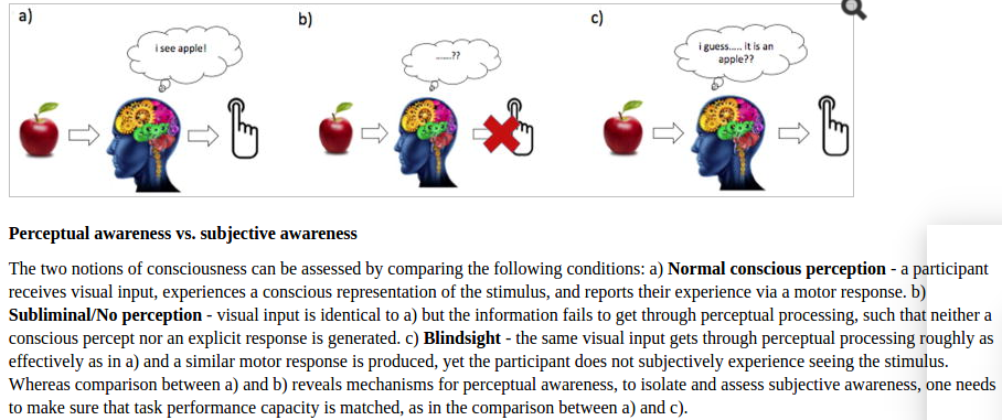 Screenshot from 2018-02-03 14-35-45