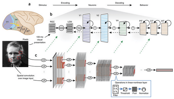 Screenshot from 2018-05-17 20-24-45